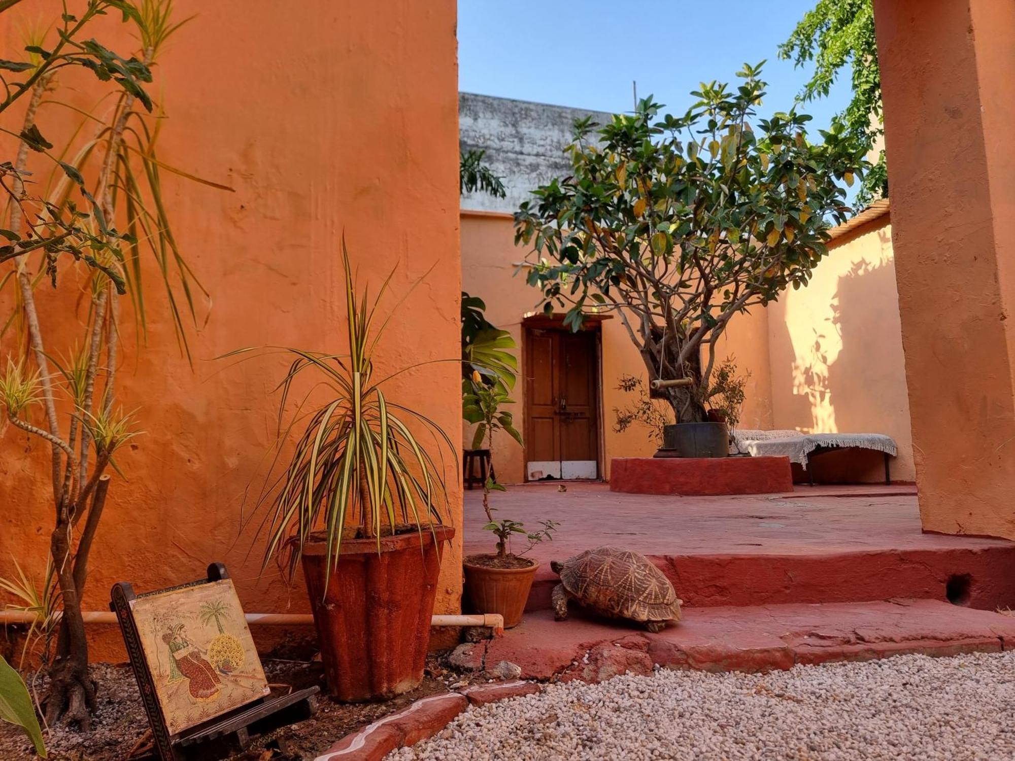 Karavan Kafe Пушкар Экстерьер фото